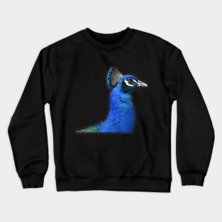 Peafowl Crewneck Sweatshirt